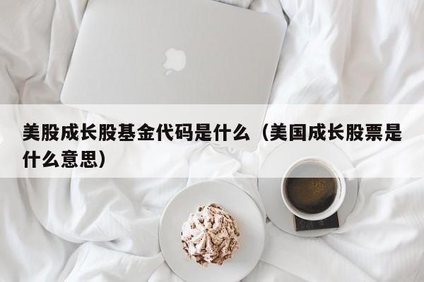 美股成长股基金代码是什么（美国成长股票是什么意思）
