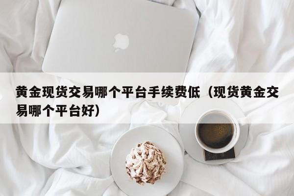 黄金现货交易哪个平台手续费低（现货黄金交易哪个平台好）