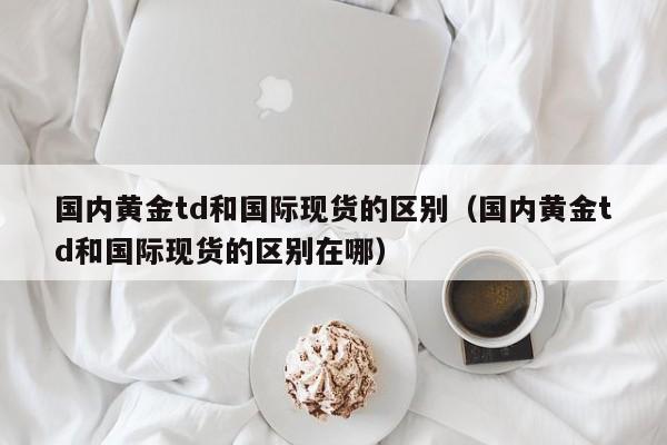 国内黄金td和国际现货的区别（国内黄金td和国际现货的区别在哪）