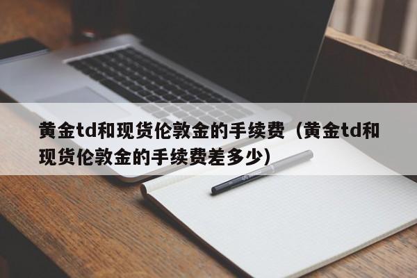 黄金td和现货伦敦金的手续费（黄金td和现货伦敦金的手续费差多少）