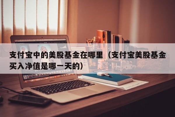 支付宝中的美股基金在哪里（支付宝美股基金买入净值是哪一天的）
