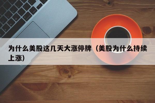 为什么美股这几天大涨停牌（美股为什么持续上涨）