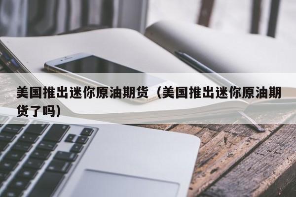 美国推出迷你原油期货（美国推出迷你原油期货了吗）