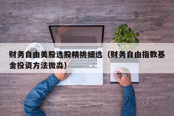 财务自由美股选股精挑细选（财务自由指数基金投资方法微淼）