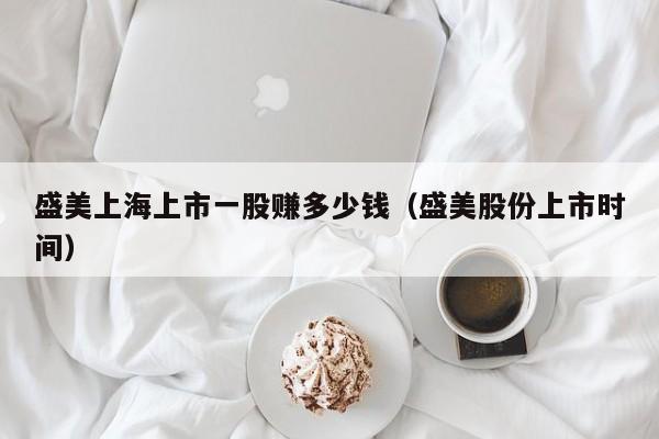 盛美上海上市一股赚多少钱（盛美股份上市时间）