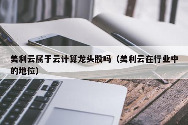 美利云属于云计算龙头股吗（美利云在行业中的地位）
