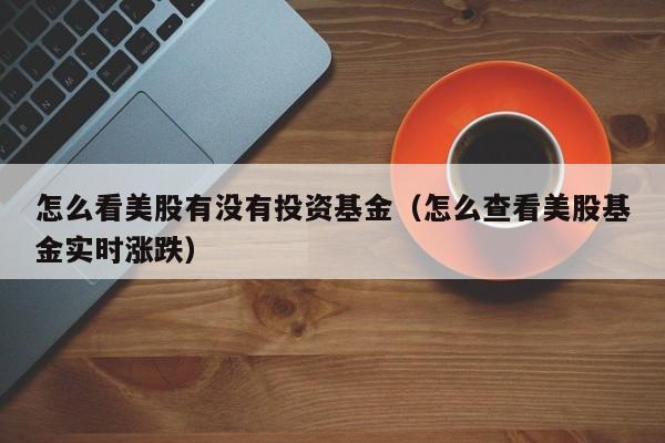 怎么看美股有没有投资基金（怎么查看美股基金实时涨跌）