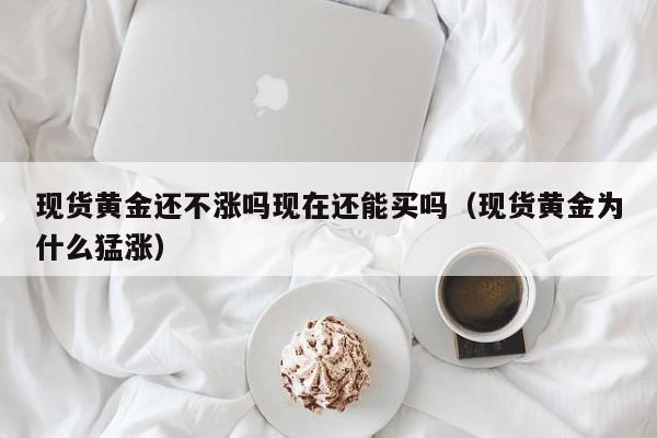 现货黄金还不涨吗现在还能买吗（现货黄金为什么猛涨）
