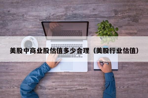 美股中商业股估值多少合理（美股行业估值）