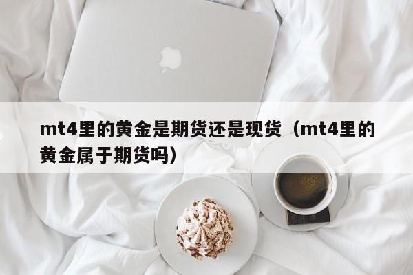 mt4里的黄金是期货还是现货（mt4里的黄金属于期货吗）