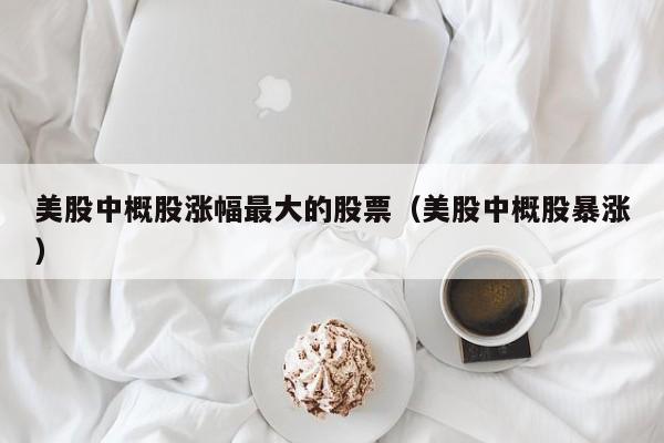 美股中概股涨幅最大的股票（美股中概股暴涨）
