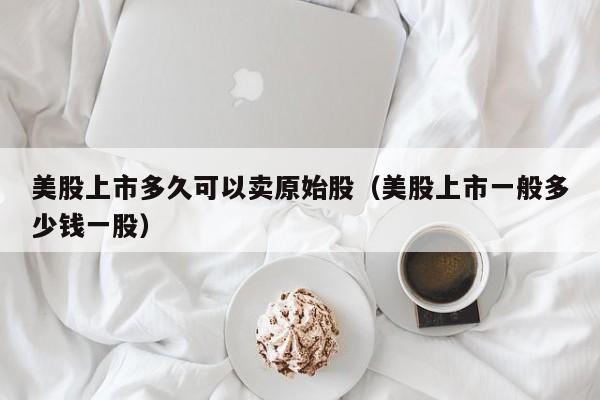 美股上市多久可以卖原始股（美股上市一般多少钱一股）