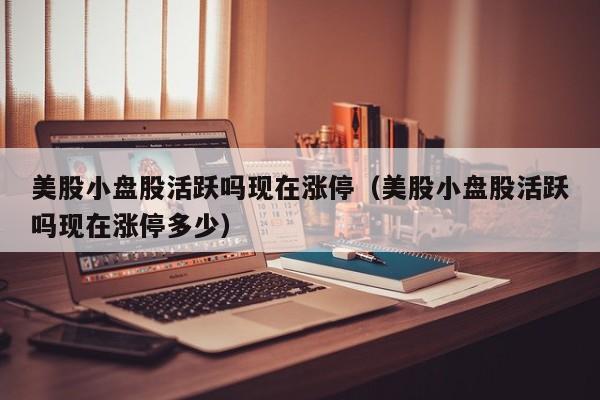 美股小盘股活跃吗现在涨停（美股小盘股活跃吗现在涨停多少）