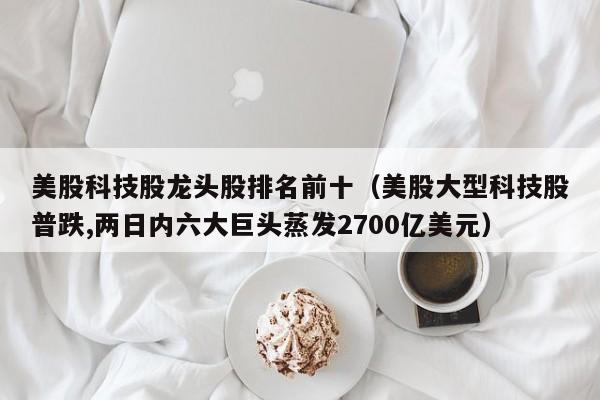 美股科技股龙头股排名前十（美股大型科技股普跌,两日内六大巨头蒸发2700亿美元）