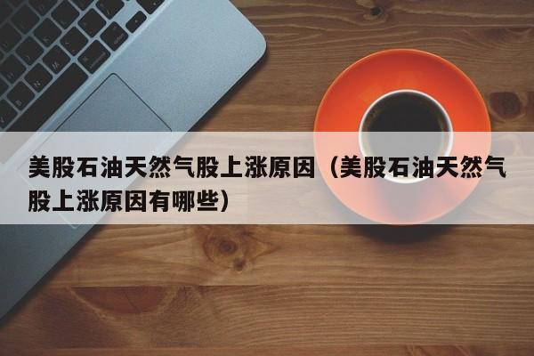 美股石油天然气股上涨原因（美股石油天然气股上涨原因有哪些）