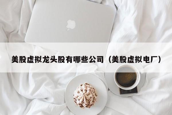 美股虚拟龙头股有哪些公司（美股虚拟电厂）