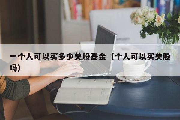 一个人可以买多少美股基金（个人可以买美股吗）