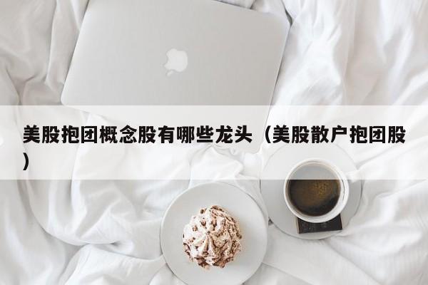 美股抱团概念股有哪些龙头(美股散户抱团股)
