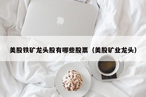 美股铁矿龙头股有哪些股票（美股矿业龙头）