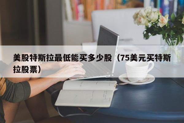 美股特斯拉最低能买多少股（75美元买特斯拉股票）