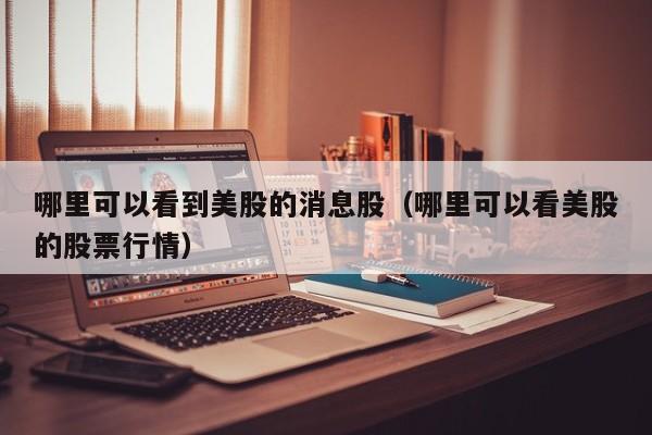哪里可以看到美股的消息股（哪里可以看美股的股票行情）