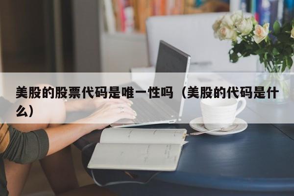 美股的股票代码是唯一性吗（美股的代码是什么）