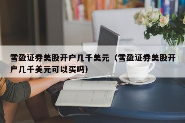 雪盈证券美股开户几千美元（雪盈证券美股开户几千美元可以买吗）