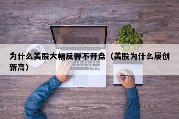 为什么美股大幅反弹不开盘（美股为什么屡创新高）