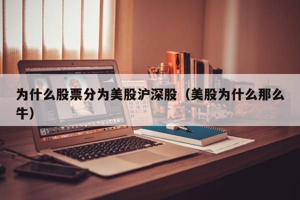 为什么股票分为美股沪深股（美股为什么那么牛）