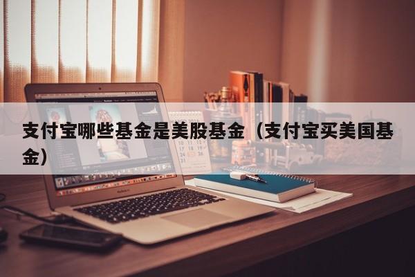 支付宝哪些基金是美股基金（支付宝买美国基金）