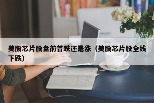 美股芯片股盘前普跌还是涨（美股芯片股全线下跌）