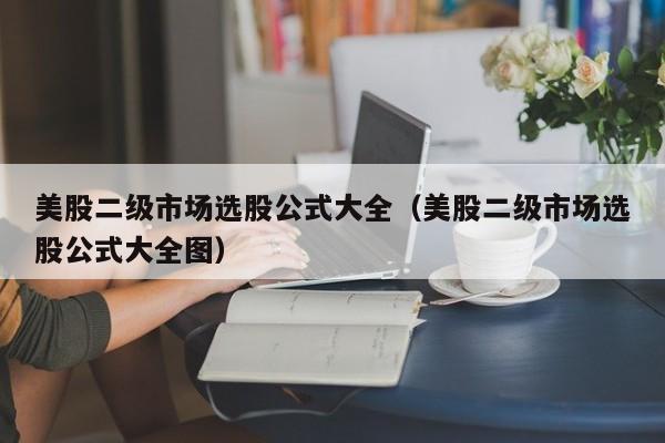 美股二级市场选股公式大全（美股二级市场选股公式大全图）