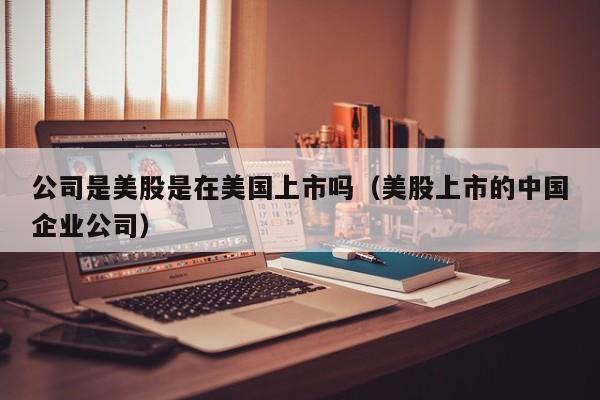 公司是美股是在美国上市吗(美股上市的中国企业公司)