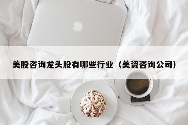 美股咨询龙头股有哪些行业（美资咨询公司）