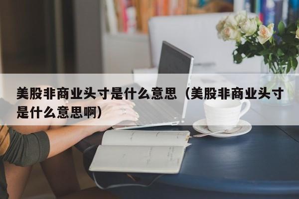 美股非商业头寸是什么意思（美股非商业头寸是什么意思啊）