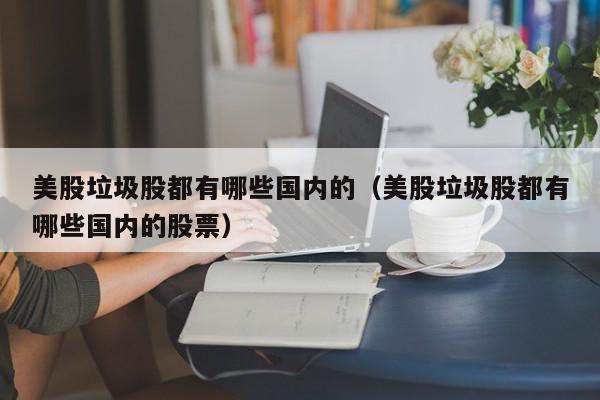 美股垃圾股都有哪些国内的(美股垃圾股都有哪些国内的股票)