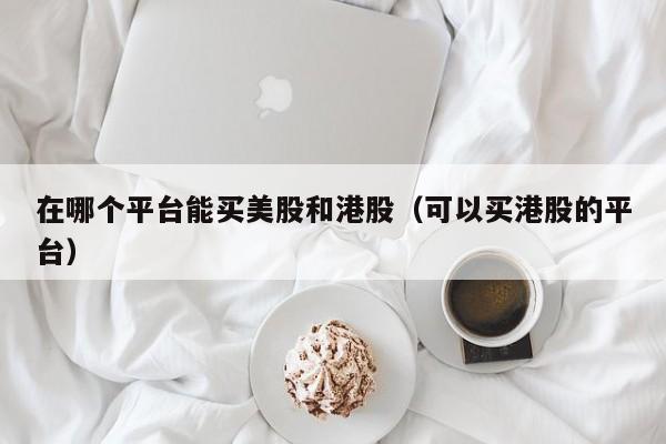 在哪个平台能买美股和港股(可以买港股的平台)