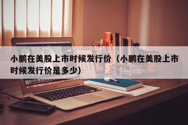 小鹏在美股上市时候发行价（小鹏在美股上市时候发行价是多少）
