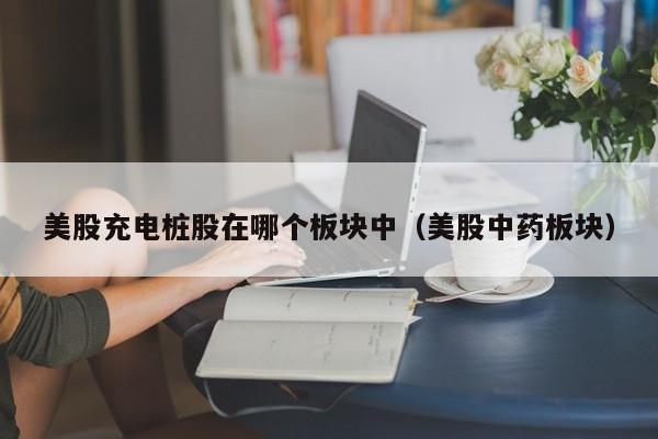 美股充电桩股在哪个板块中(美股中药板块)