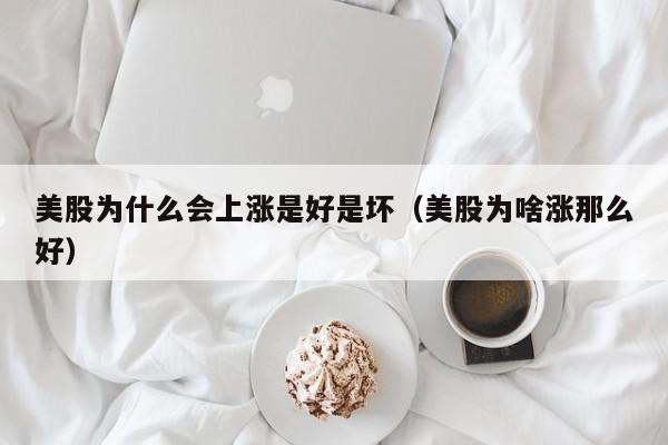 美股为什么会上涨是好是坏（美股为啥涨那么好）