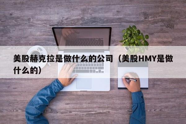 美股赫克拉是做什么的公司(美股HMY是做什么的)