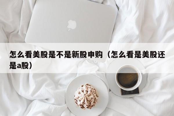 怎么看美股是不是新股申购(怎么看是美股还是a股)